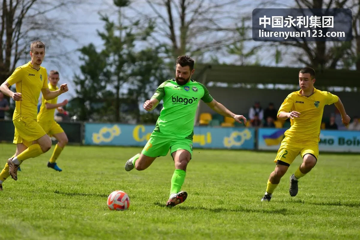 中国永利集团产业整合战略示意